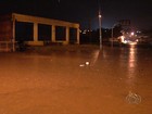 Bombeiros dizem que chuva deixou 700 desalojados em Goiânia; vídeos