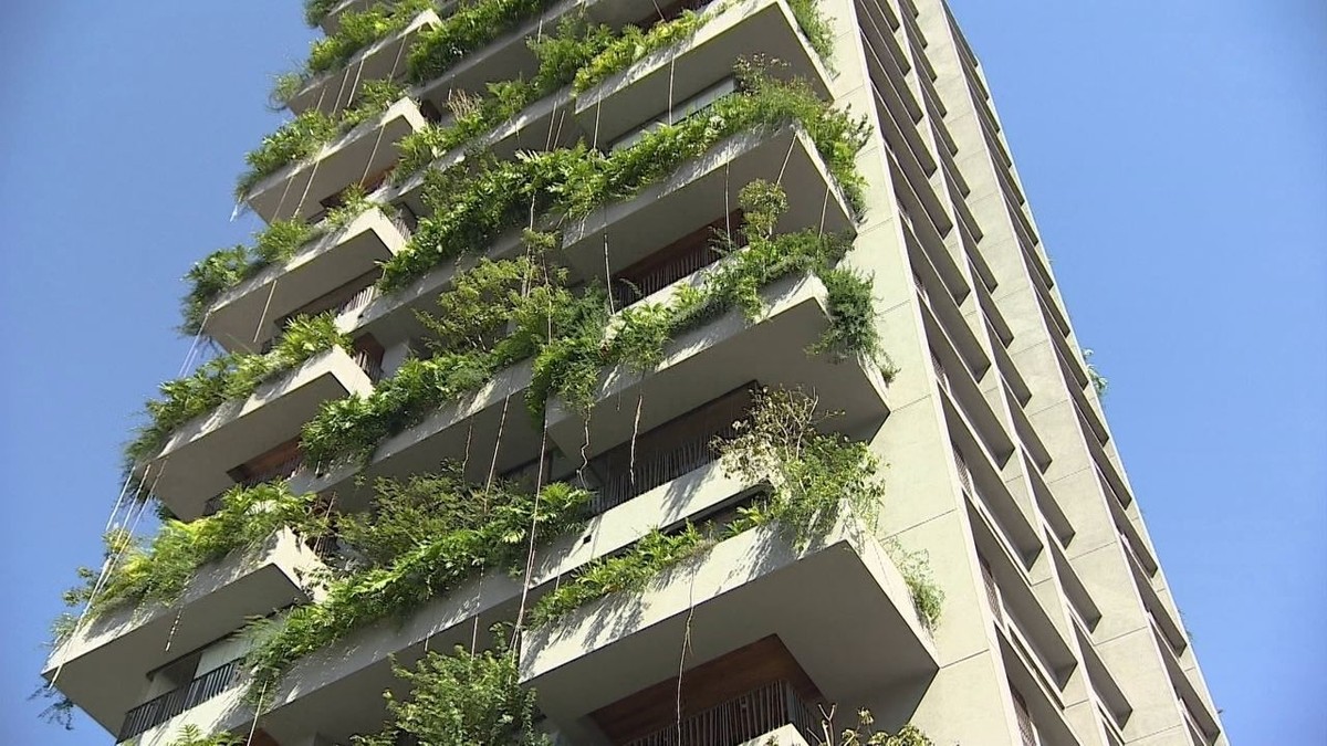 Empresa leva kits de irrigação para varandas de apartamentos thumbnail