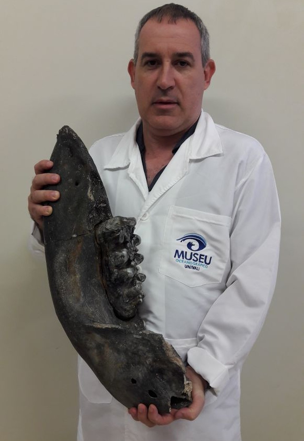 Coordenador dos museus da Univali, Jules Soto, segura fóssil de mandíbula de mastodonte encontrado em Sombrio (Foto: Museu Oceanográfico Univali/Divulgação )