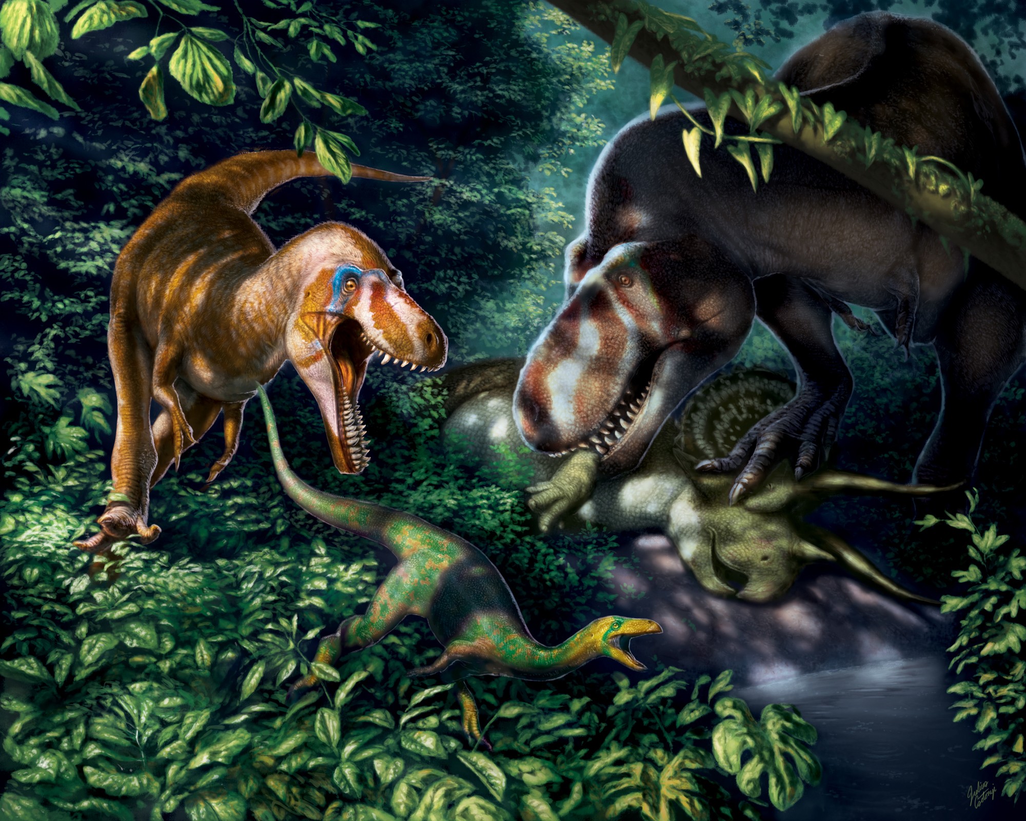 Existiram tiranossauros rex 'anões'? Estudo de fósseis de pequenos indivíduos indica que não thumbnail
