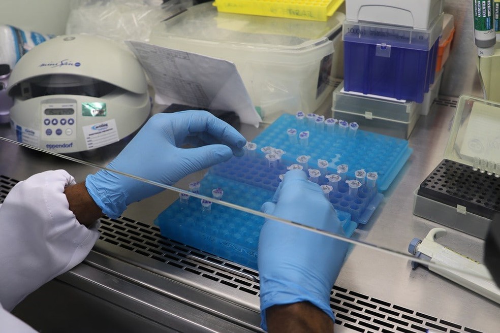 Metodologia utilizada em RT-PCR que identifica o vírus do SARS-CoV-2 em amostras biológicas. — Foto: Divulgação/FVS-AM