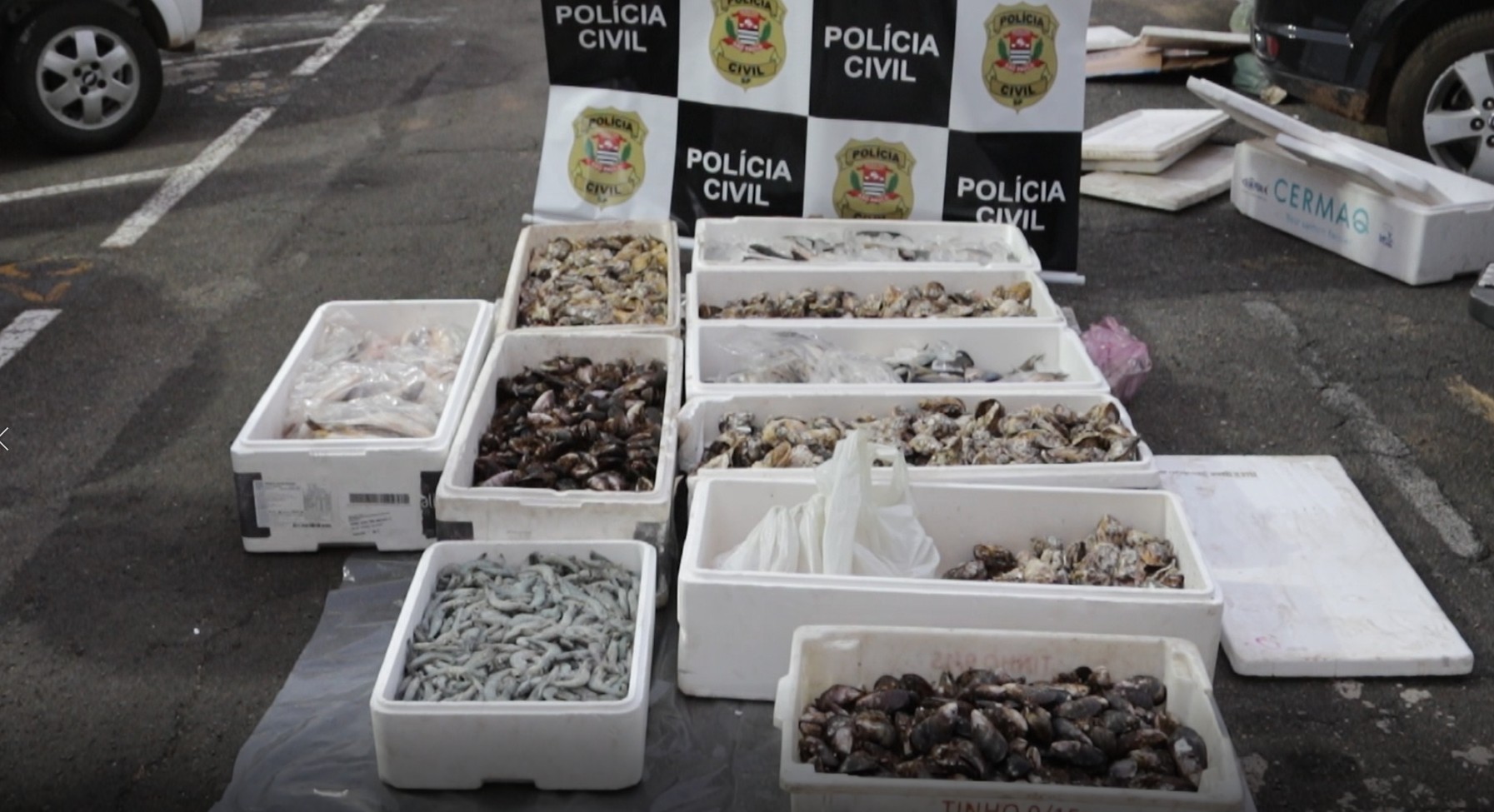 Polícia prende comerciante em Campinas após flagrar 258 kg de frutos do mar estragados thumbnail