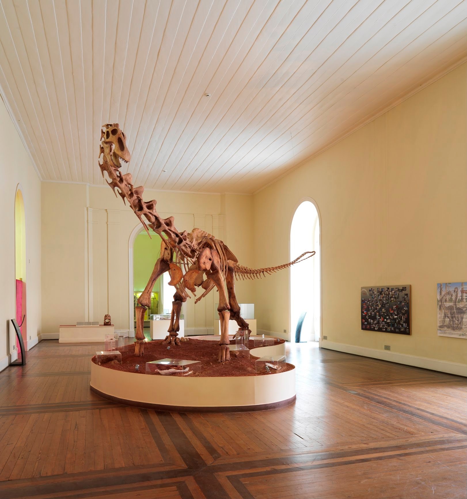Famosa réplica de Titanossauro era uma das principais atrações do Museu Nacional antes do incêndio de 2018. (Foto: Reprodução)