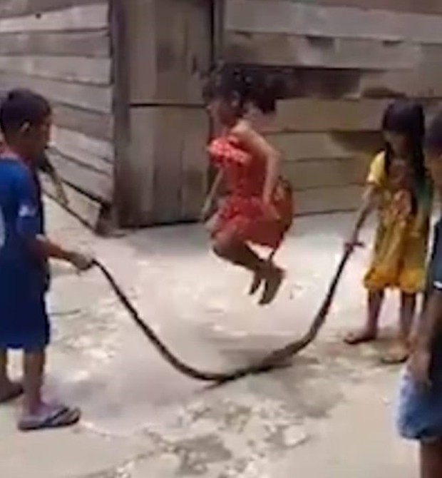 Crianças brincam com cobra morta (Foto: Reprodução)