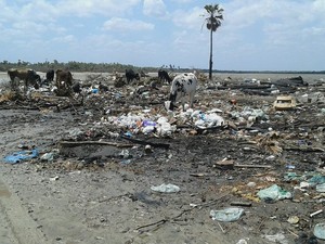 Lixo em Barra Grande, no litoral do Piauí (Foto: Pedro Neto/Arquivo pessoal)