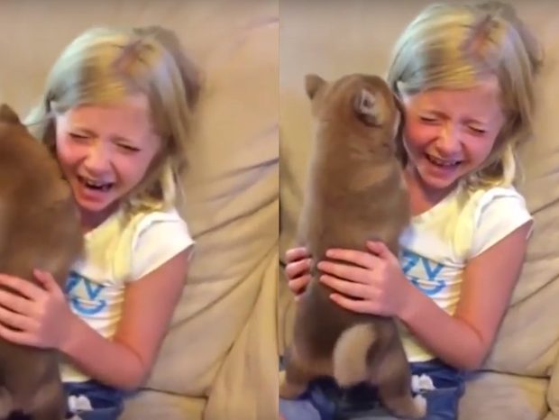 Menina chora de emoção ao ganhar cachorro   (Foto: Reprodução/ YouTube)