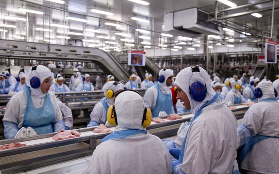 Linha de produção da fábrica da processamento de aves  (frangos e derivados) da JBS em Lapa, no Paraná, onde há a suspeita de irregularidades na certificação sanitária internacional por parte de auditores fiscais do ministério (Foto:  ANDRE COELHO / Agência O Globo)