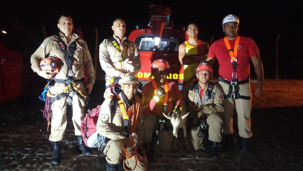 Militares do Corpo de Bombeiros salvaram cabra em cidade do interior do RN nesta quinta (9) — Foto: Divulgação/CBMRN
