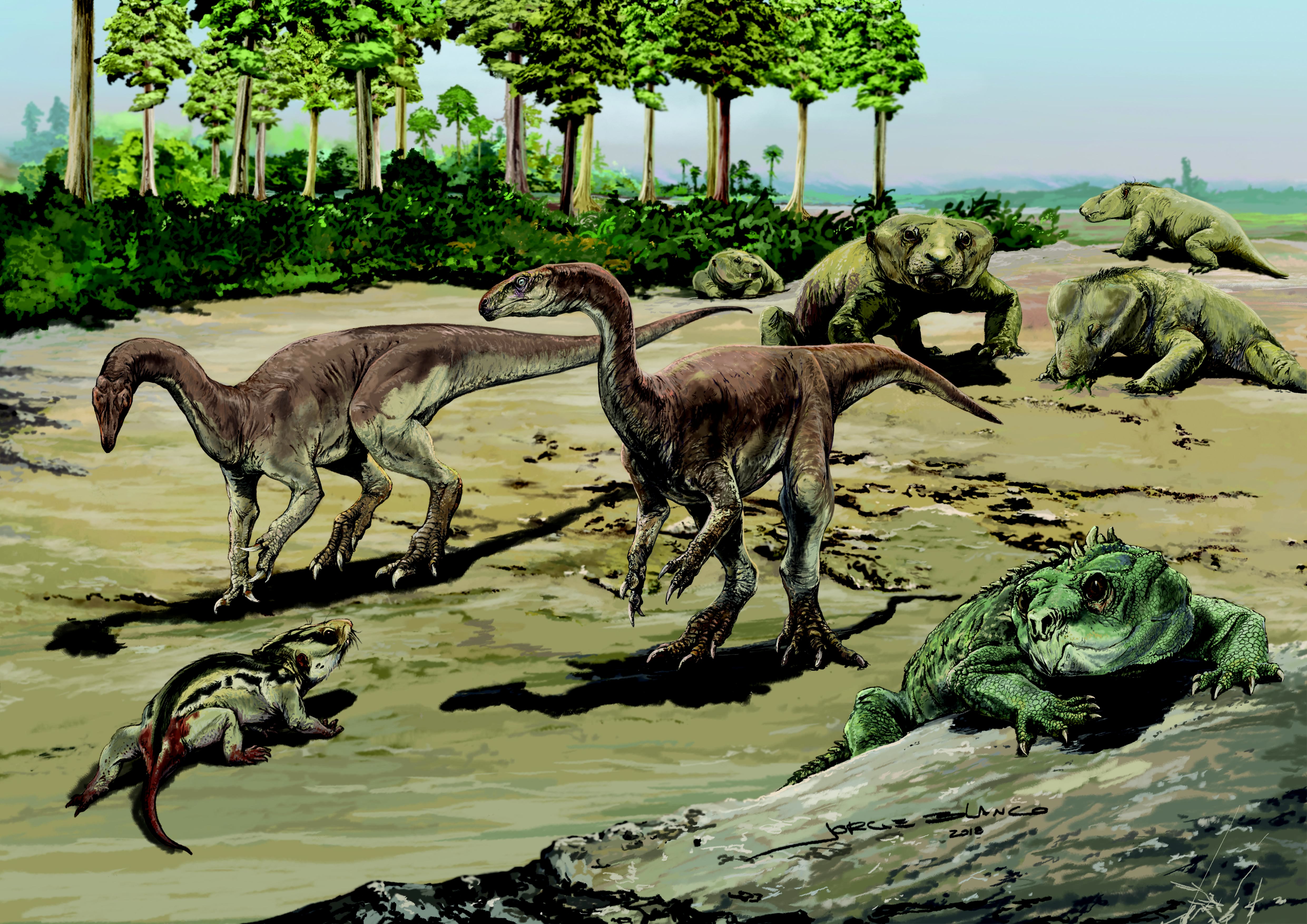 Representação artística da paisagem na região de Agudo (sul do Brasil), há cerca de 230 milhões de anos (período Triássico). No centro da imagem, uma dupla de Bagualosaurus agudoensis confronta o cinodonte Trucidocynodon riograndensis (canto inferior esquerdo). No canto inferior direito, um Hyperodapedon, réptil herbívoro do grupo dos rincossauros. Ao fundo, um grupo de cinodontes, Exaeretodon riograndensis, observa a cena. (Foto: Arte de Jorge Blanco.)