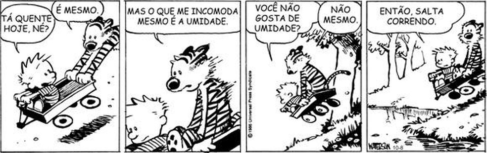 Tirinha de "Calvin e Haroldo" usada em questão do Enem 2021 — Foto: Reprodução