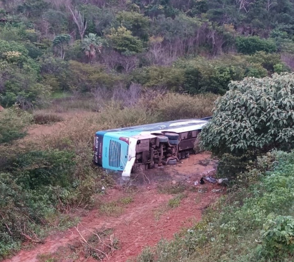 Criança morre em acidente com ônibus na BR-135, no Sul do Piauí — Foto: Reprodução