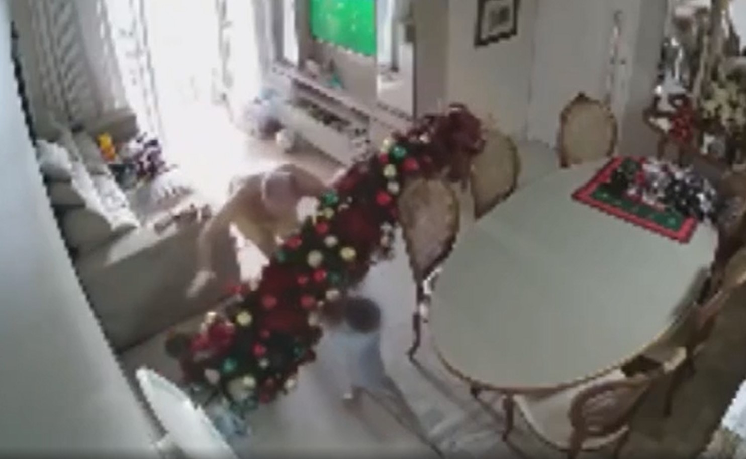 Avô tenta evitar que neto derrube árvore de Natal, leva tombo e cena viraliza na internet: 'Ganhou uma repercussão muito grande'