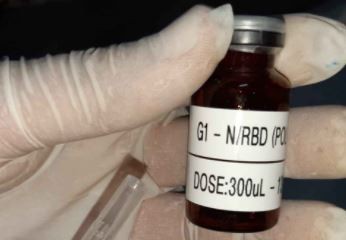 UFMG se prepara para iniciar testes da vacina contra a Covid-19 em humanos