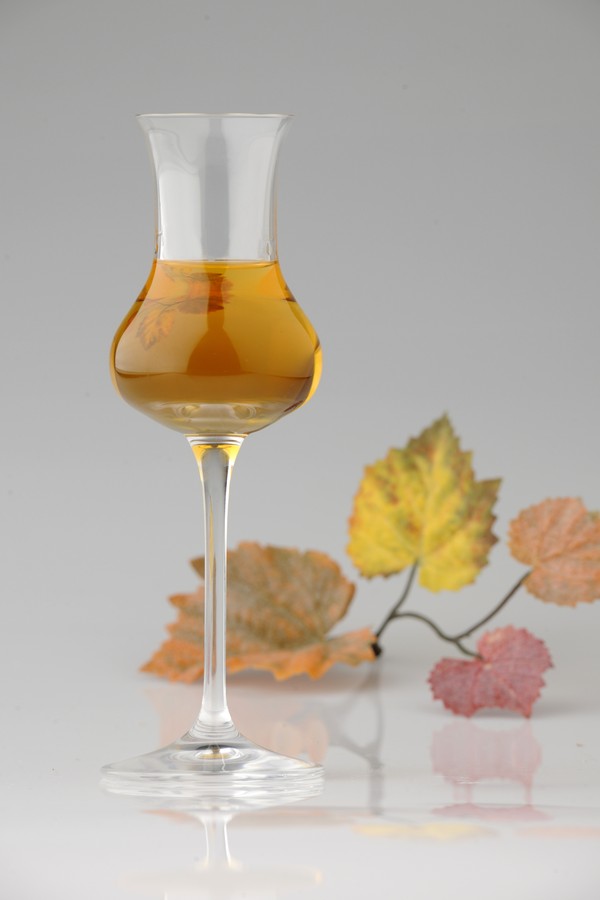 Bicchiere caratteristico di Vin Santo, su fondo neutro e foglie di Vite sfocate sullo sfondo (Foto: Getty Images/iStockphoto)