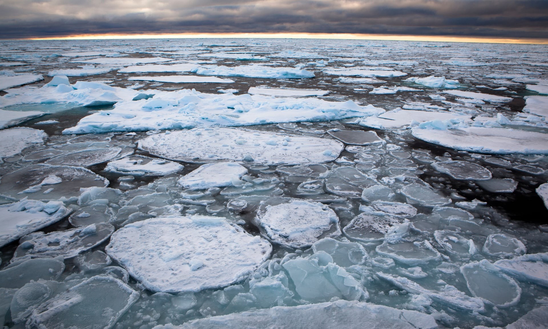 Degelo do Ártico já atingiu até as regiões mais frias. (Foto: Nick Cobbing/Greenpeace)