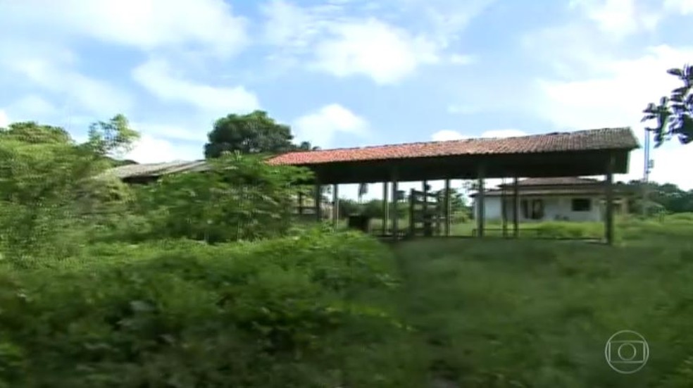 Área em conflito entre índios e fazendeiros em Viana, MA (Foto: Reprodução/ TV Globo)