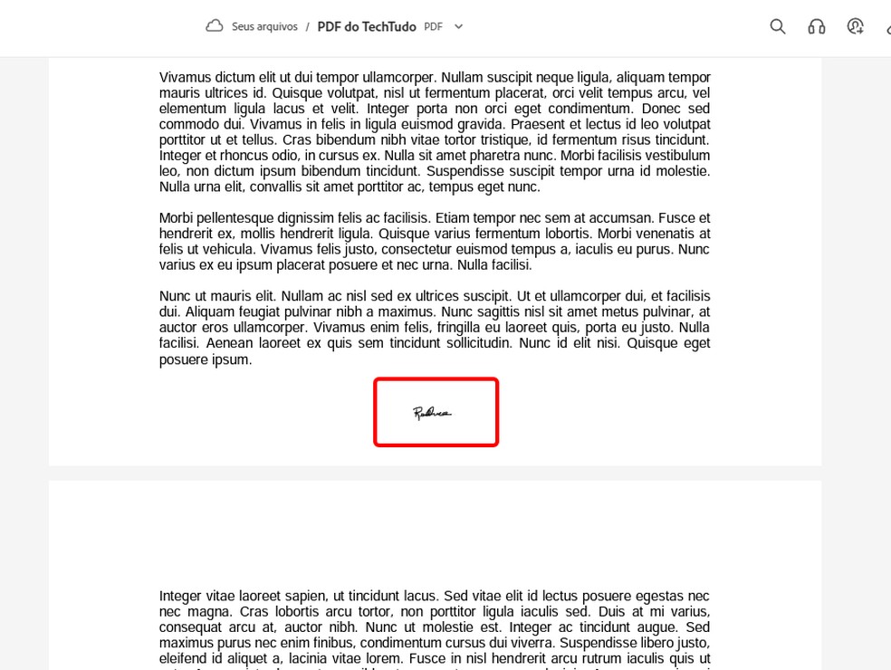Usuário pode posicionar a assinatura digital no PDF como quiser — Foto: Reprodução/Rodrigo Fernandes