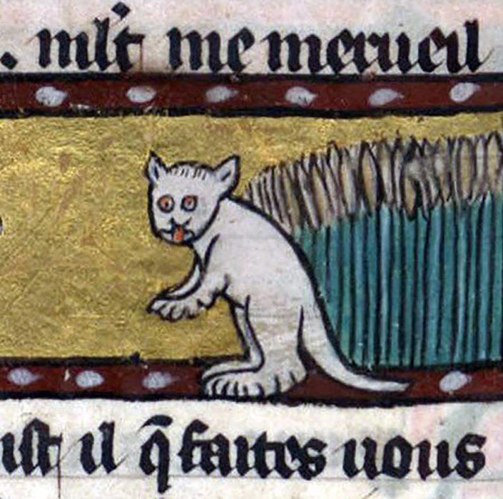 Gato representado em arte da Idade Média (Foto: Reprodução/ Roman de Renart, France ca. 1300-1350)