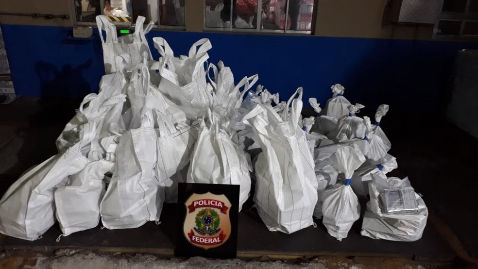 Receita Federal localizou 790 kg de cocaína no Porto de Santos, SP — Foto: Divulgação/PF