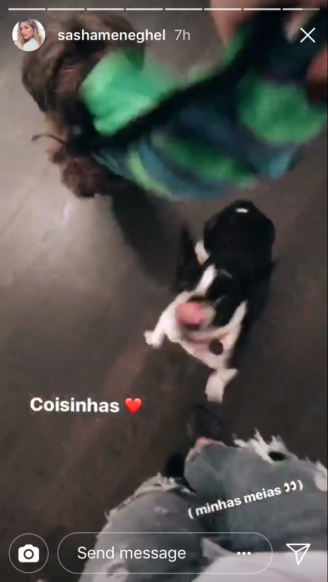 Sasha brinca com os cães Juju e Ursa (Foto: reprodução/instagram)