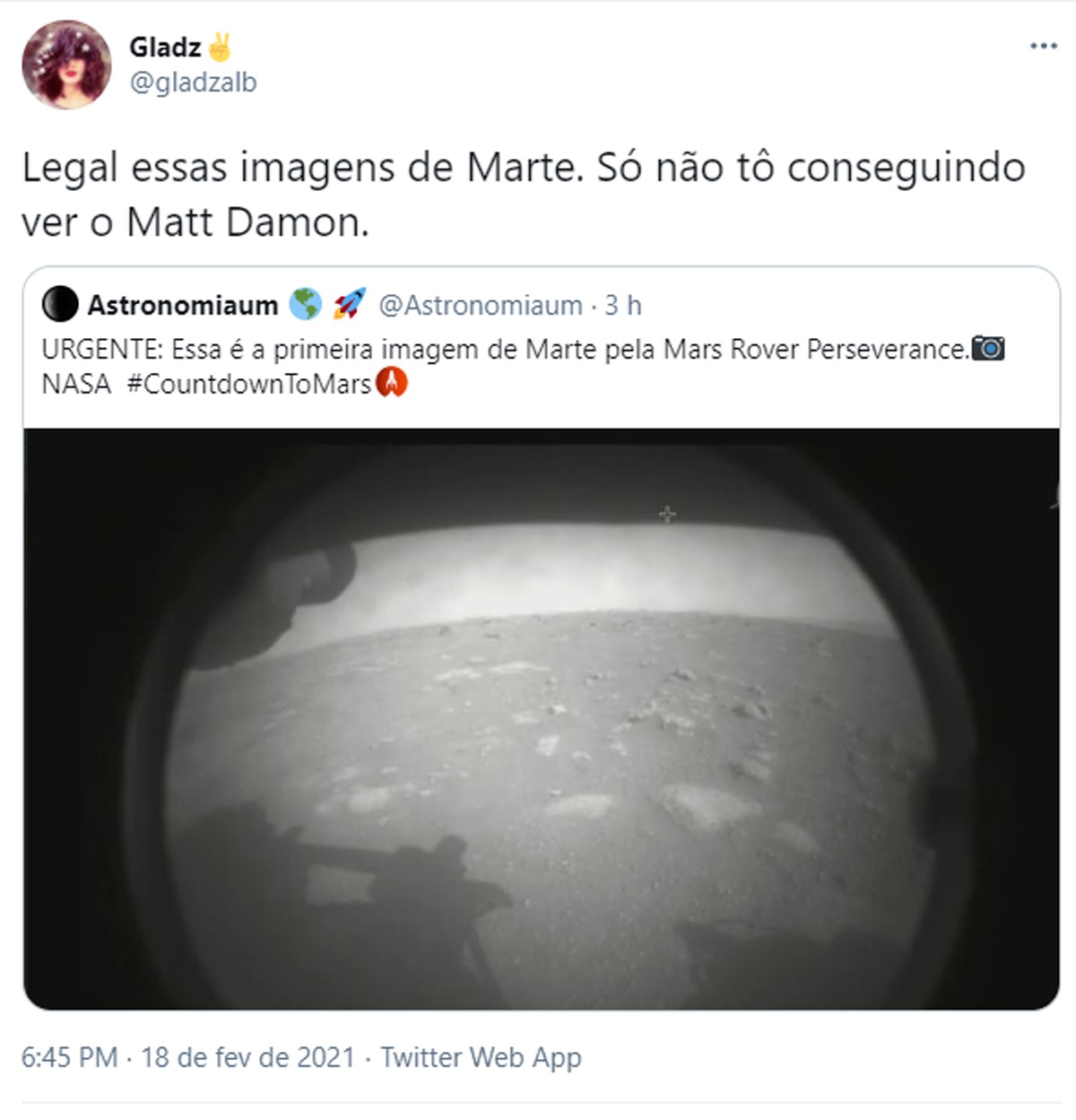 Matt Damon vira meme por causa de filme após robô pousar em Marte (Foto: Reprodução/Twitter)