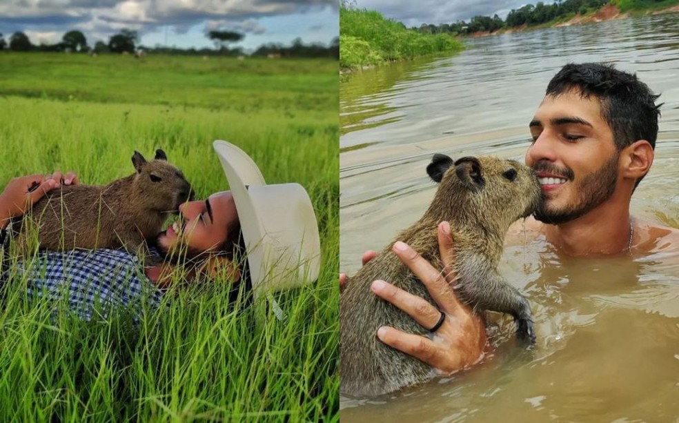 Fazendeiro do interior do Amazonas mostrava rotina com a capivara nas redes sociais.  — Foto: Divulgação