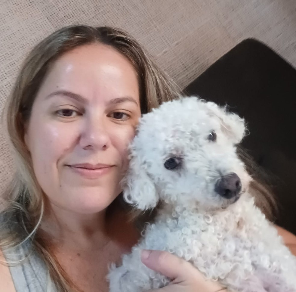 asomadetodosafetos.com - Poodle desaparecida anda mais de 14km e reencontra família após 15 dias: "Docinho que nos achou!"