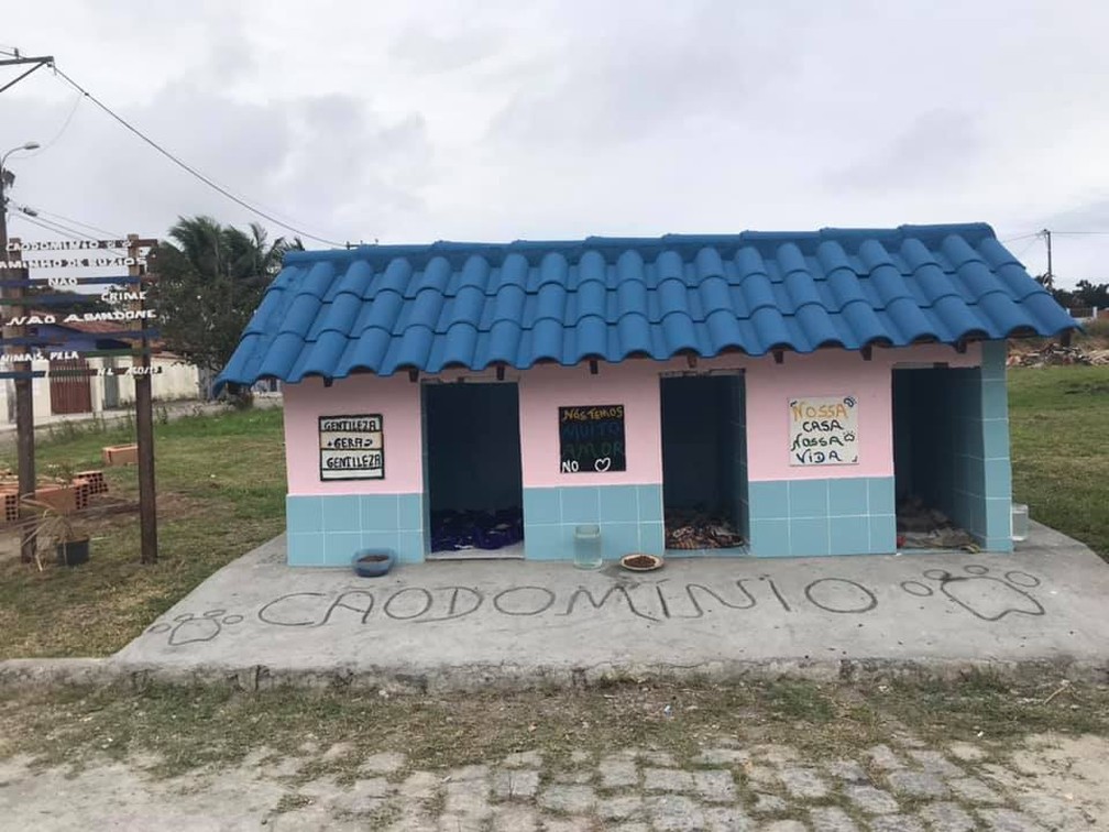 'CÃ£odomÃ­nio' foi construÃ­do para abrigar animais de rua em Cabo Frio, no RJ â€” Foto: Nil Laino/Arquivo pessoal 