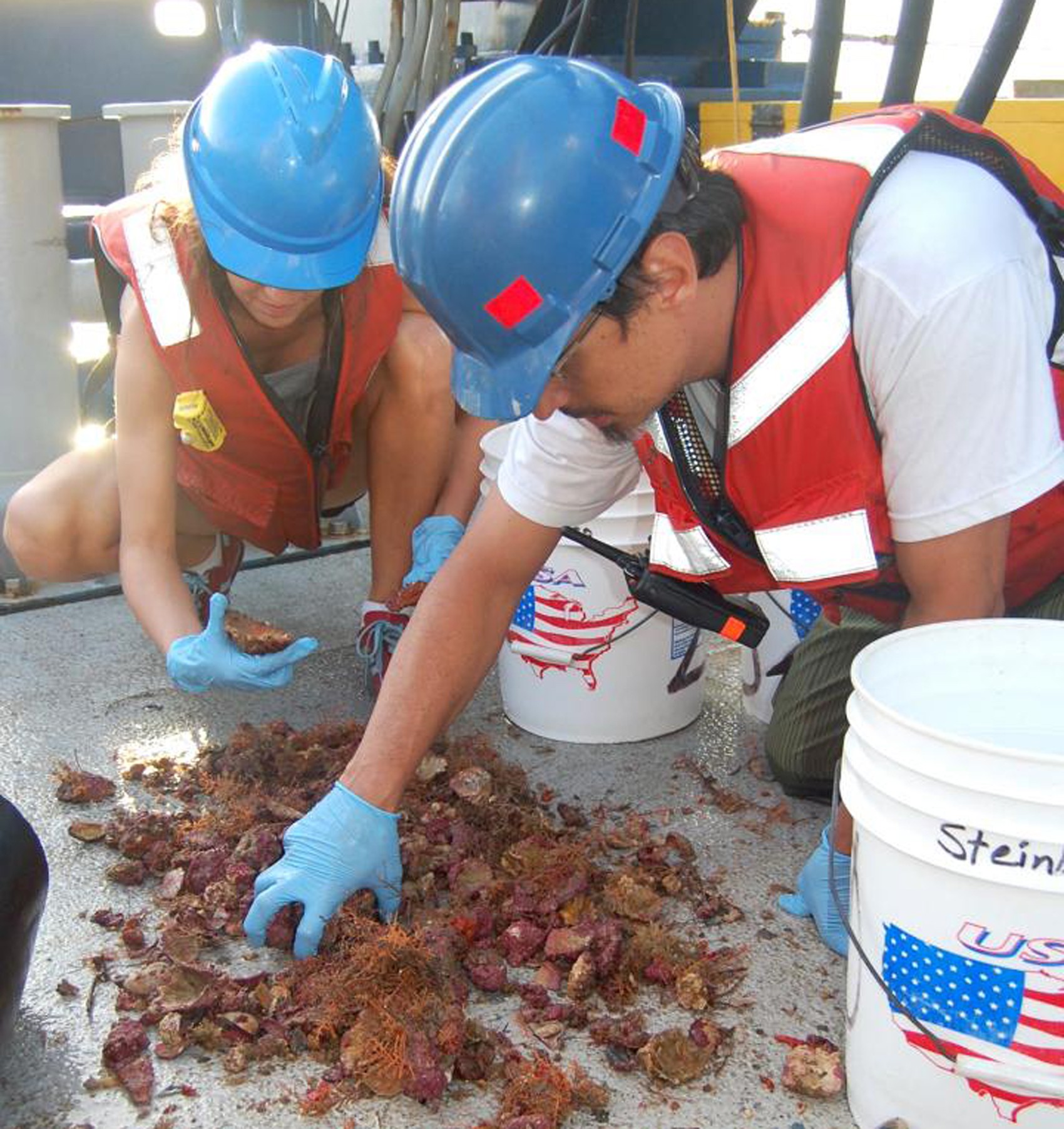  Pesquisadores Nara Oliveira e Rodrigo Moura da UFRJ observam animais de recife de coral coletados durante uma das espedições feitas pelos cientistas  (Foto: UFRJ/Divulgação)