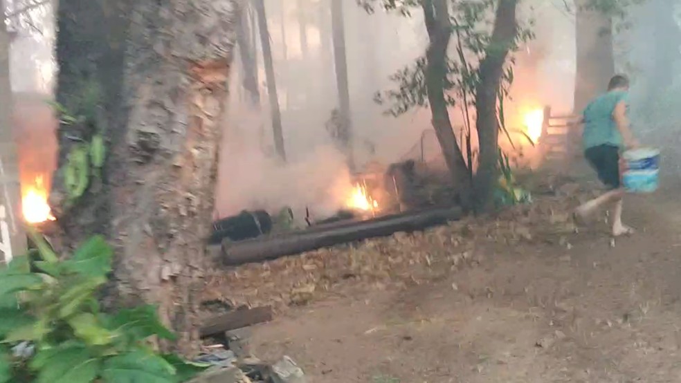 Incêndio atingiu vegetação no Parque Virgilio Viel, em Sumaré — Foto: Andreza Rodrigues de Sousa