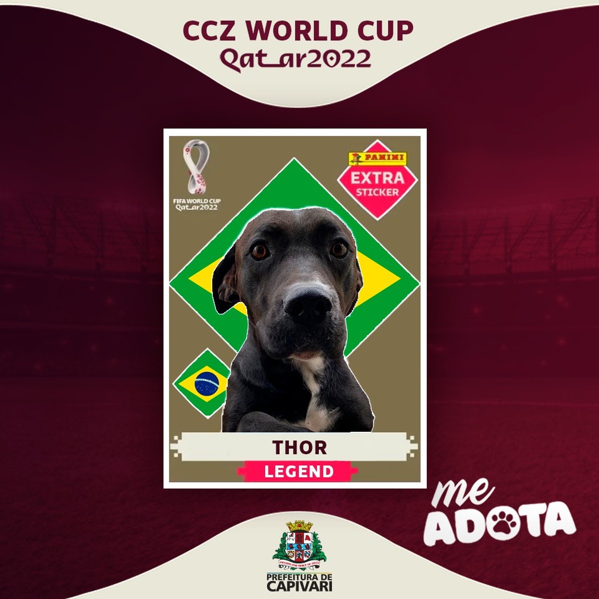 Capivari faz campanha inspirada em álbum da Copa para incentivar adoção ...
