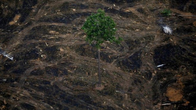 BBC - Área desmatada perto de Porto Velho; taxa de desmatamento anunciada nesta segunda-feira é a maior desde 2008 (Foto: REUTERS/BRUNO KELLY via BBC)