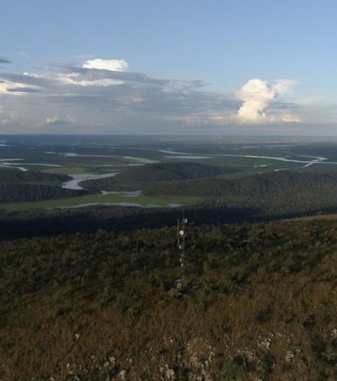 1º projeto de créditos de carbono é colocado em prática no Pantanal