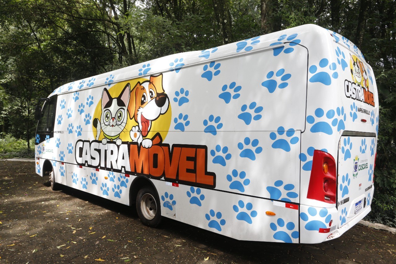 'CastraMóvel' oferece atendimento em Cascavel para animais de famílias de baixa renda; veja onde