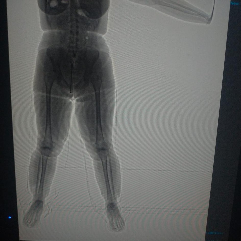 Jovem tinha como destino Malaga, na Espanha — Foto: PF/Foz do Iguaçu