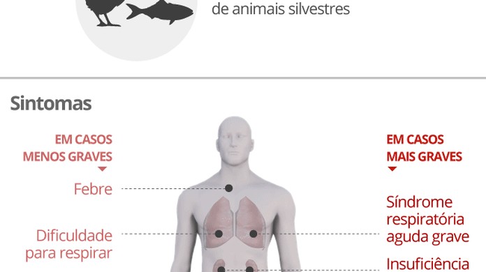 O Novo Coronavirus Tem Cura Coronavirus G1