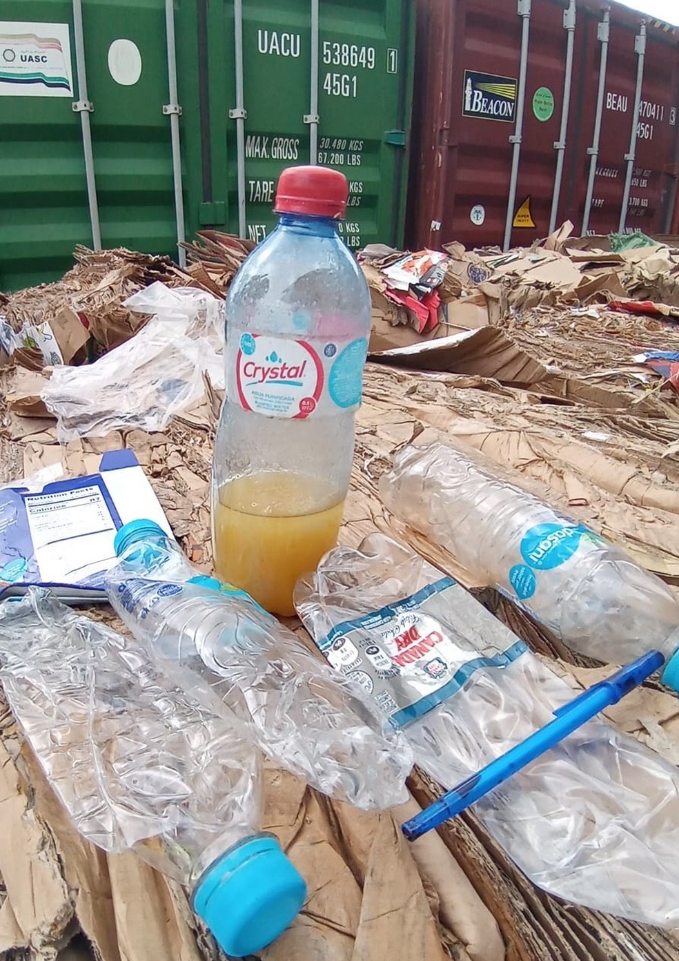 Lixo foi encontrado em carga no Porto de Santos, SP — Foto: Reprodução/Ibama