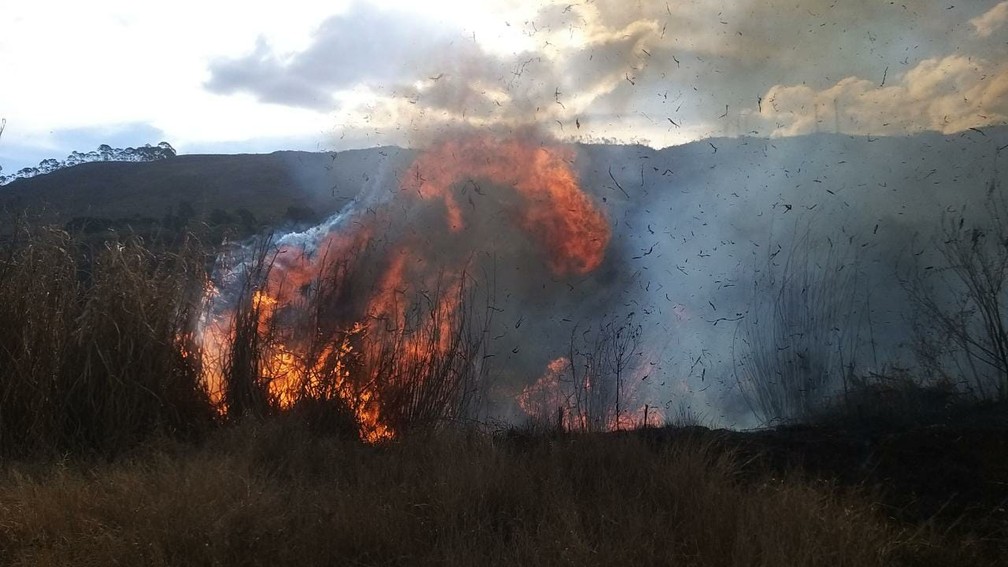 Incêndio atingiu vegetação em Poços de Caldas (MG) — Foto: Corpo de Bombeiros