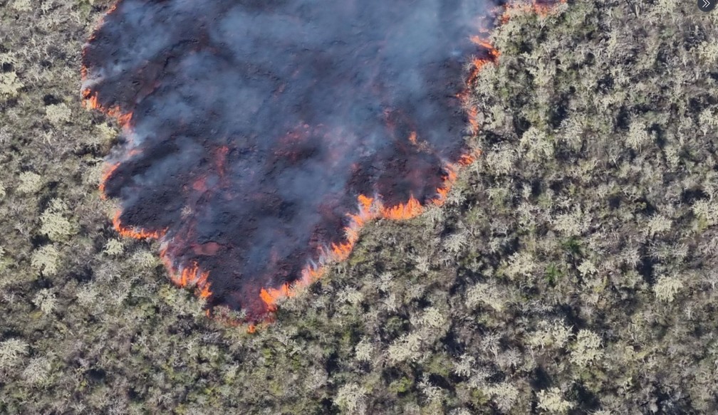 Lava avança sobre ilha em Galápagos em foto de 7 de janeiro de 2022 — Foto: Reprodução/Twitter/@parquegalapagos