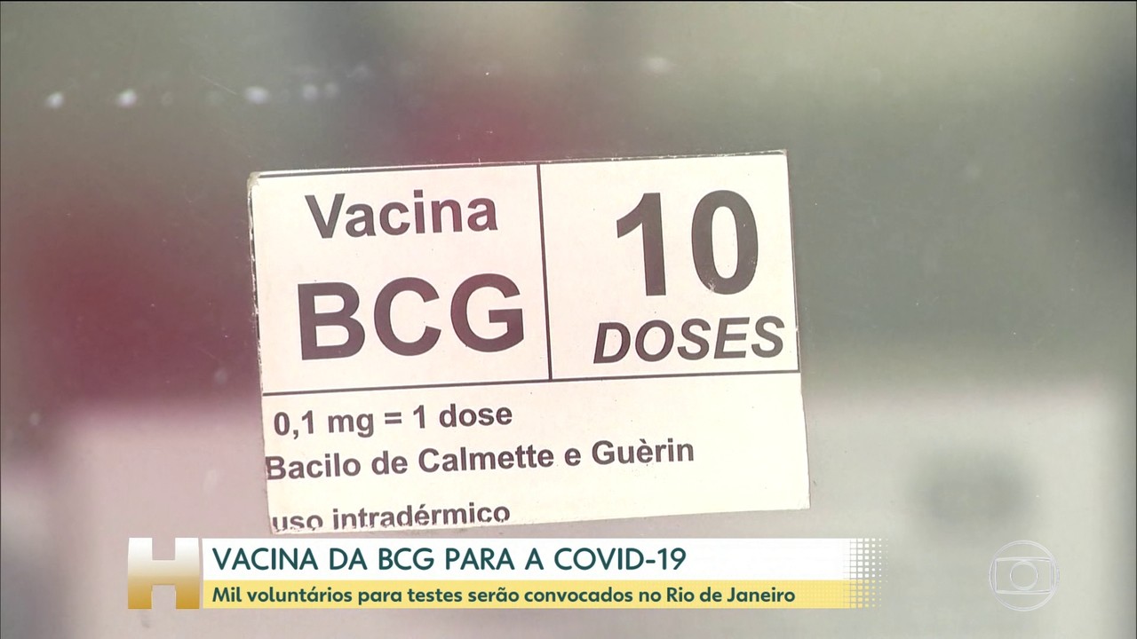 Cientistas investigam se a vacina BCG oferece proteção contra o coronavírus