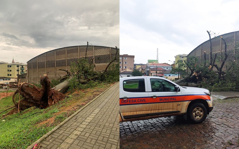 Chuva deixa estragos em Cachoeira de Minas — Foto: Defesa Civil