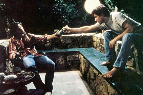 Harry Hamlin e Michael Ontkean em cena de Fazendo Amor (1982) (Foto: Reprodução)