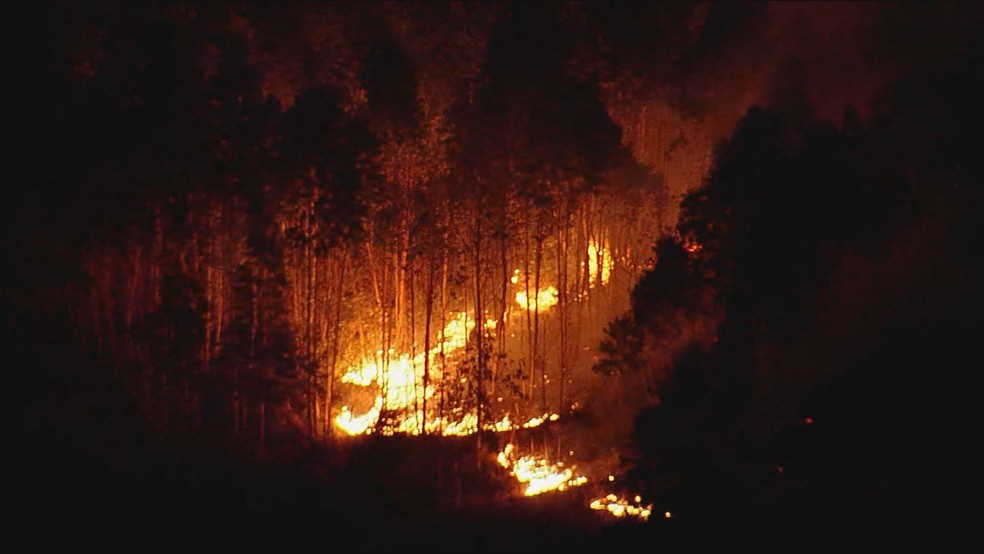 Incêndio na noite desta quarta-feira em mata na Grande São Paulo. — Foto: Reprodução/GloboNews