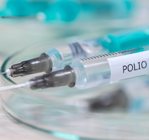 Poliomielite: "84% dos nossos municípios registram entre risco alto e muito alto para a reintrodução da doença", alerta epidemiologista