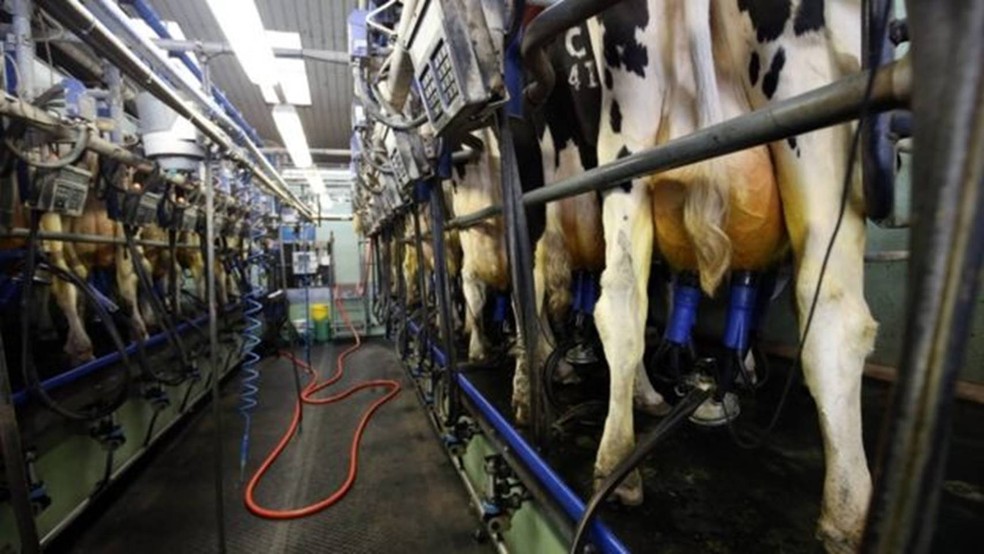 Sala de ordenha de vacas — Foto: PA Media via BBC
