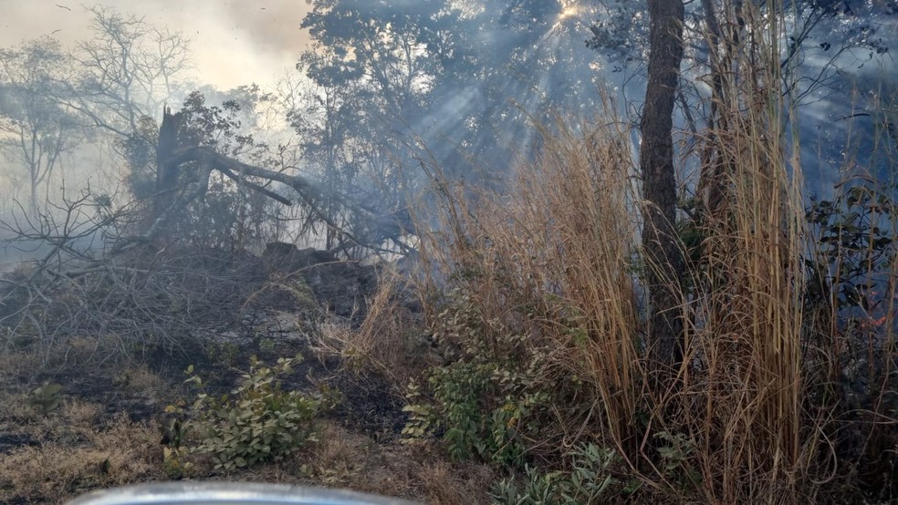 Incêndio de grande proporções atinge área de vegetação na cidade de São Desidério, no oeste da Bahia — Foto: 17° GBM