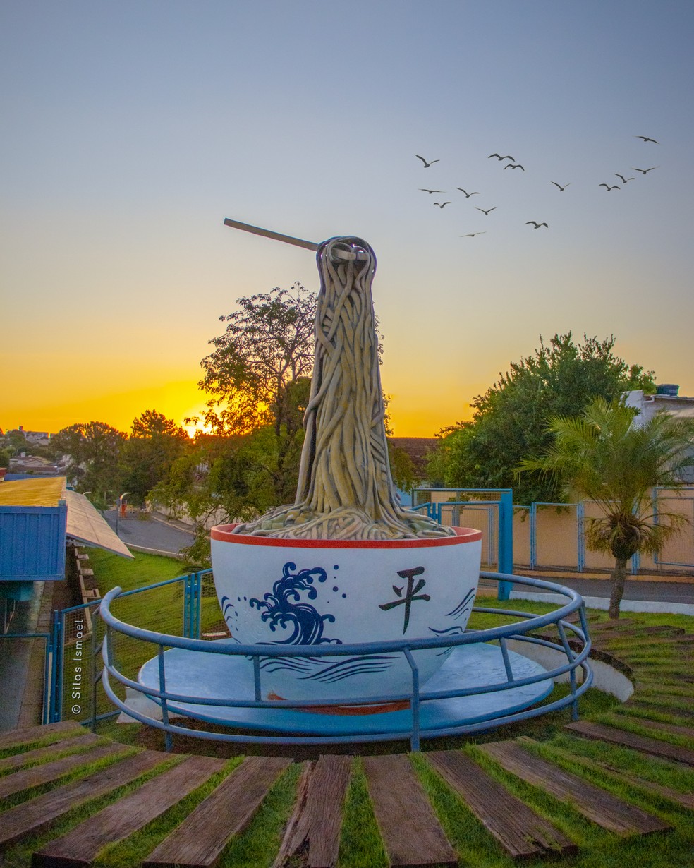 Monumento na feira central de Campo Grande. — Foto: Silas Ismael/Arquivo Pessoal