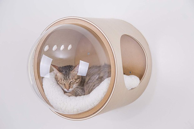 Casinha para gatos tem design inspirado em nave espacial (Foto: Divulgação)