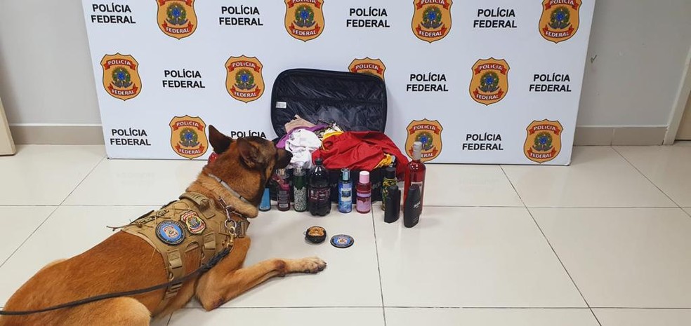 Mulher é presa transportando cocaína em embalagens de sucos, vinhos e perfumes no Aeroporto de Fortaleza  — Foto: PF/Divulgação 