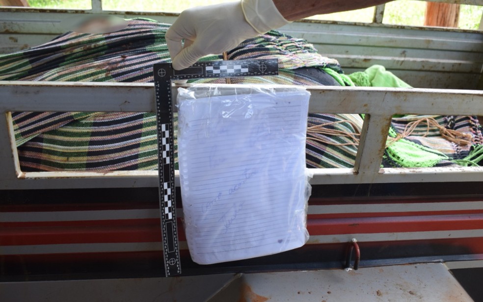 Corpos de Priscylla de Oliveira Franco Mafra e filhos foram encontrados em carretinha — Foto: Polícia Civil/Divulgação